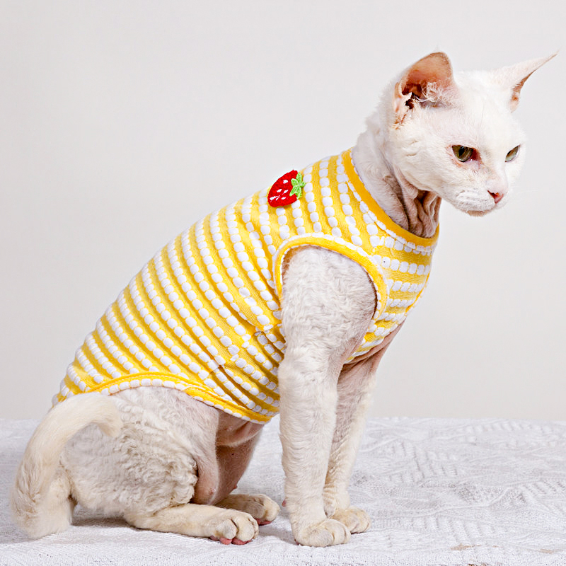 Summer T-Shirt for Sphynx Cat  - Soft Summer Yellow Clothing review and price