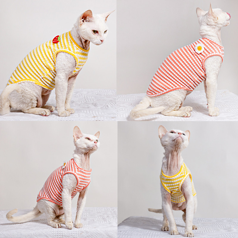 Summer T-Shirt for Sphynx Cat  - Soft Summer Yellow Clothing review and price