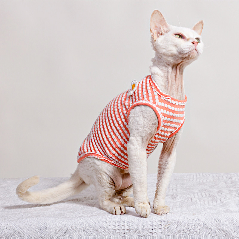 Summer T-Shirt for Sphynx Cat  - Soft Summer Yellow Clothing review and price