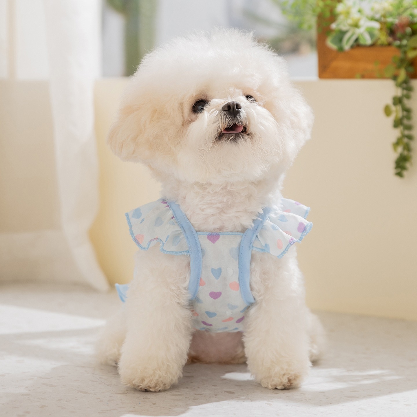 Yellow Love Dog Clothes Summer - Soft Summer Yellow Clothing review and price