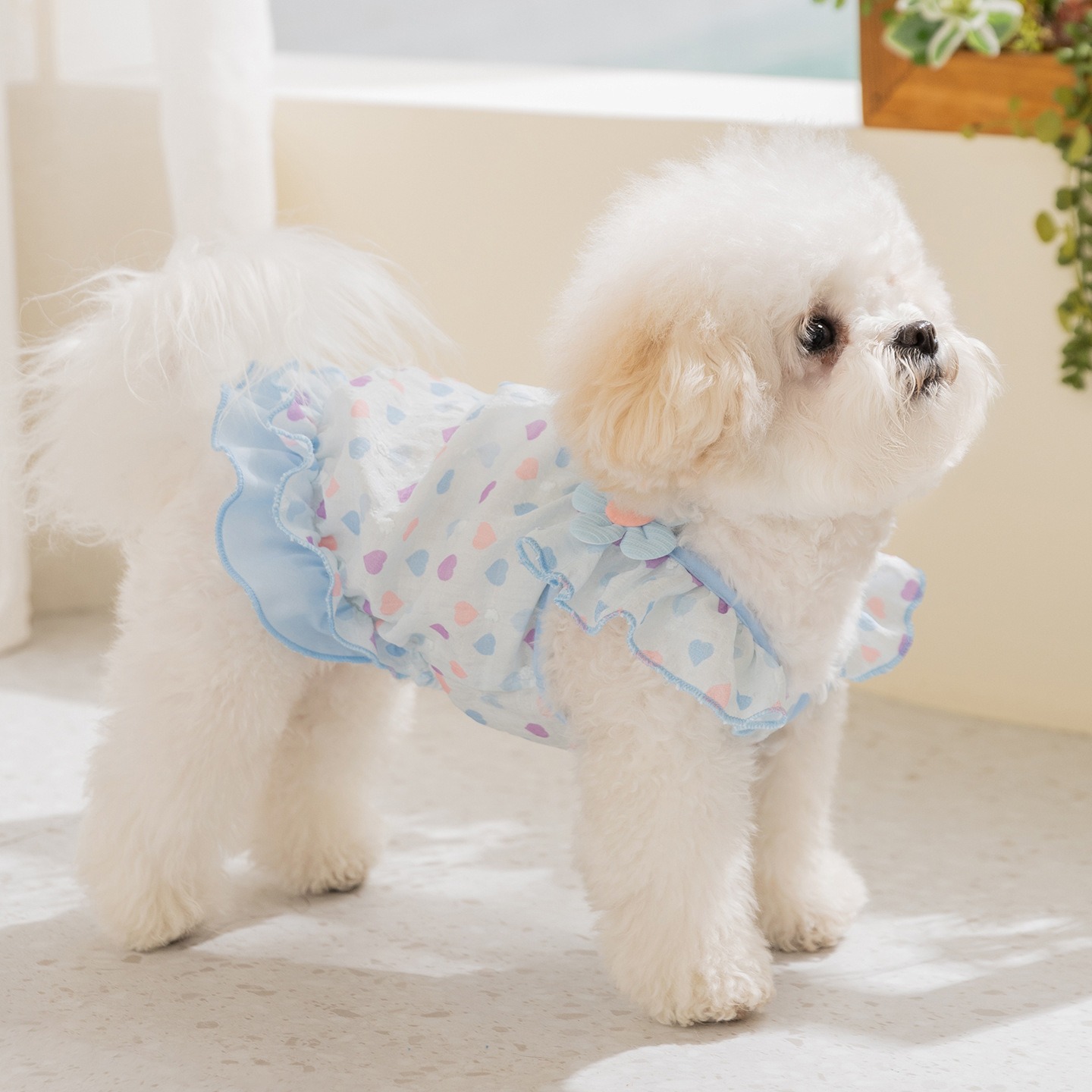 Yellow Love Dog Clothes Summer - Soft Summer Yellow Clothing review and price